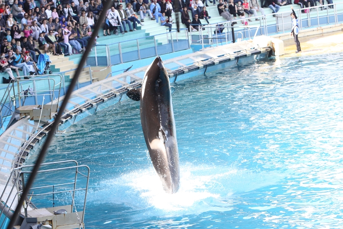 Marineland - Orgues - 008